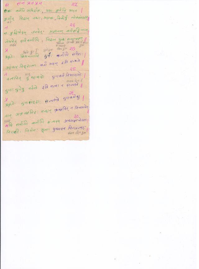 03_25-30.jpg