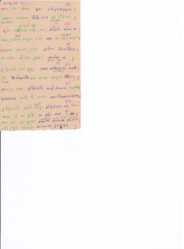 03_37-43.jpg